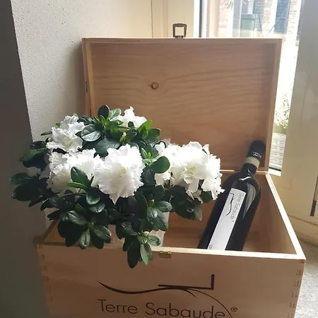 Perfect Night 3* Govone