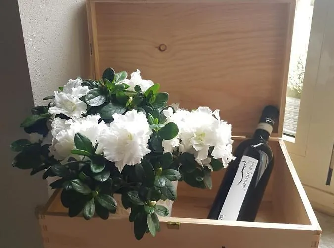 Perfect Night 3* ゴヴォーネ